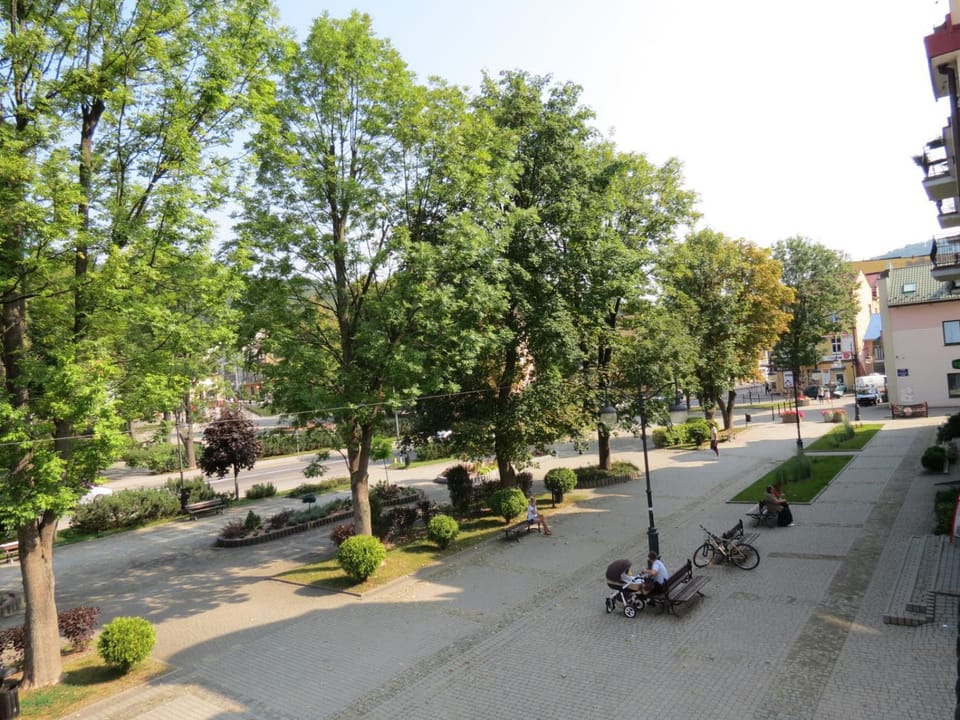 City view