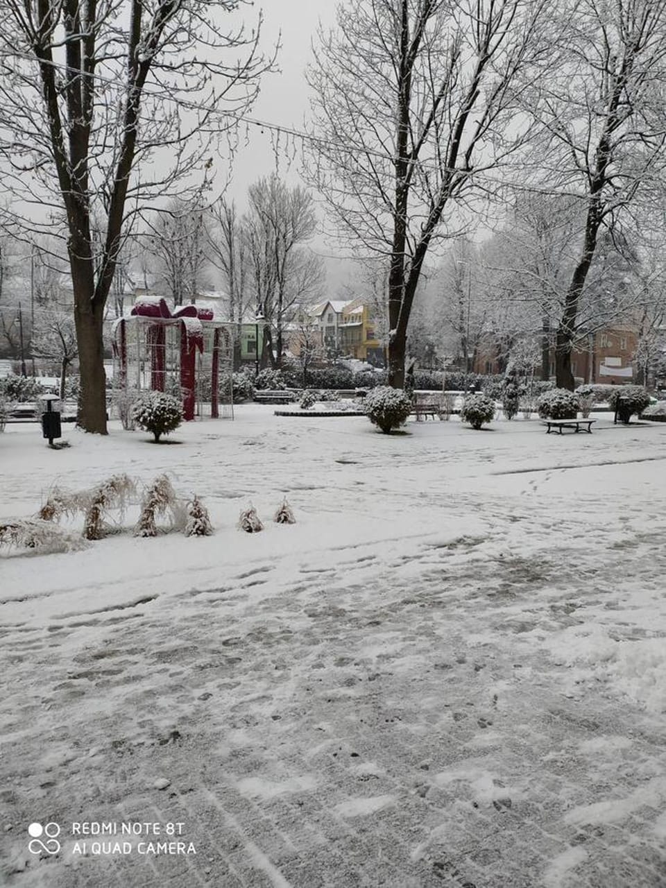 Neighbourhood, Winter