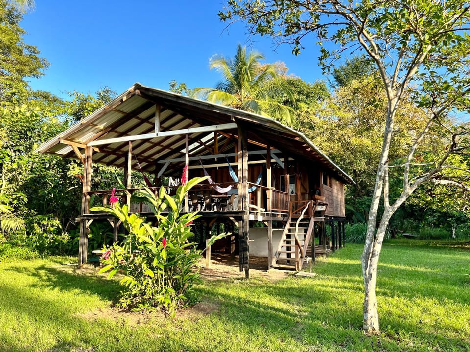 Property building, Garden