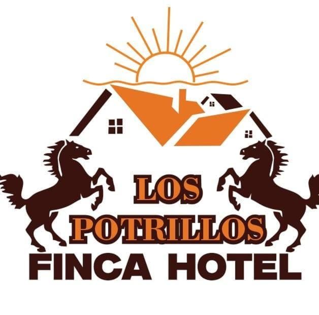 Logo/Certificate/Sign