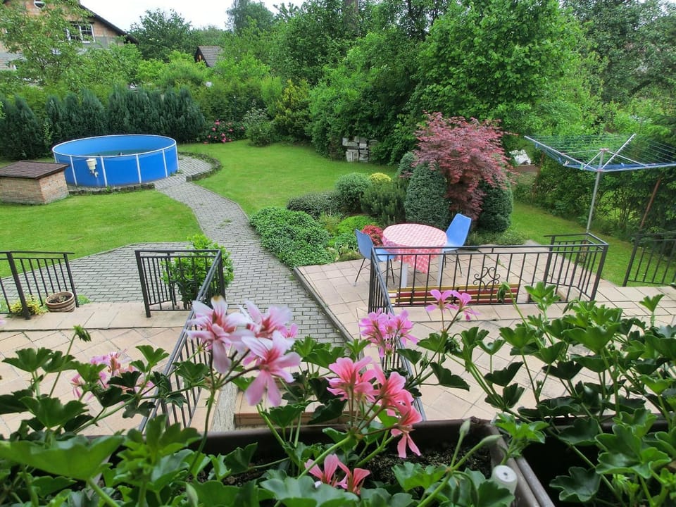 Garden view