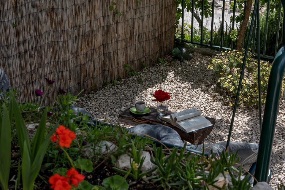 Day, Garden, Garden view