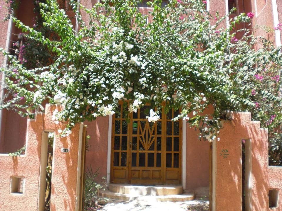 El Fayrouz Hotel Hotel in Luxor