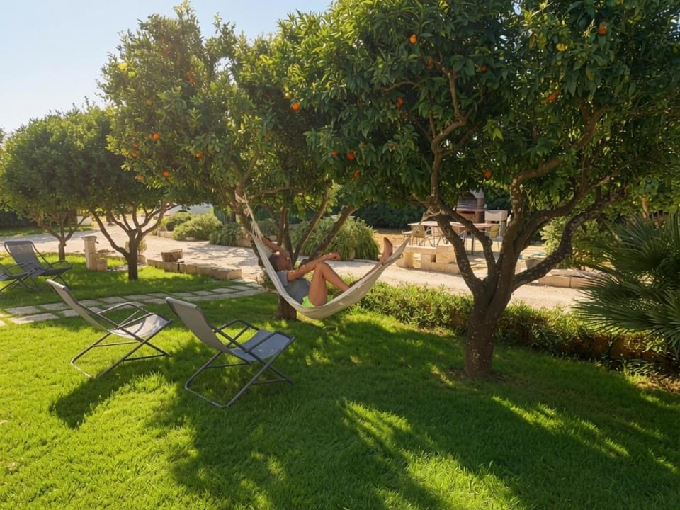 B&B Piccolo Vigneto Bed and Breakfast in Apulia