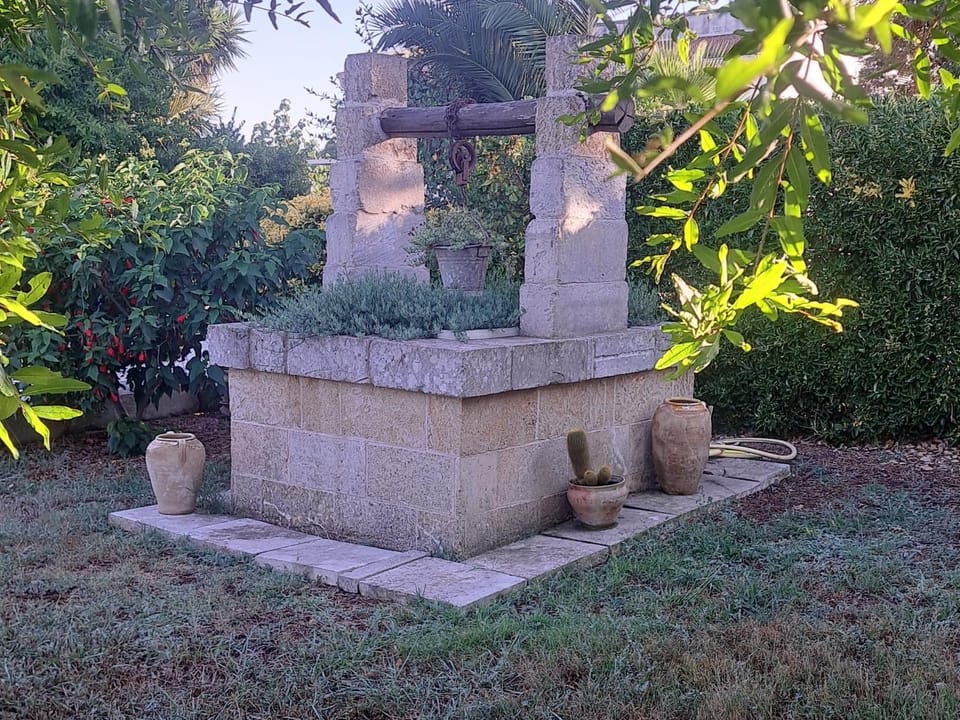 B&B Piccolo Vigneto Bed and Breakfast in Apulia