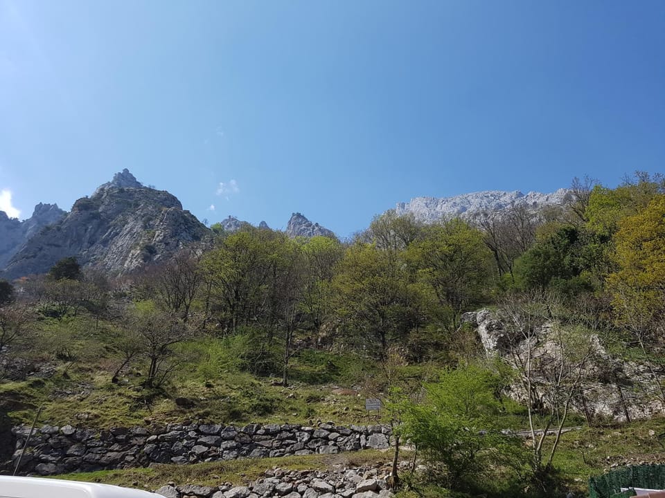 Natural landscape