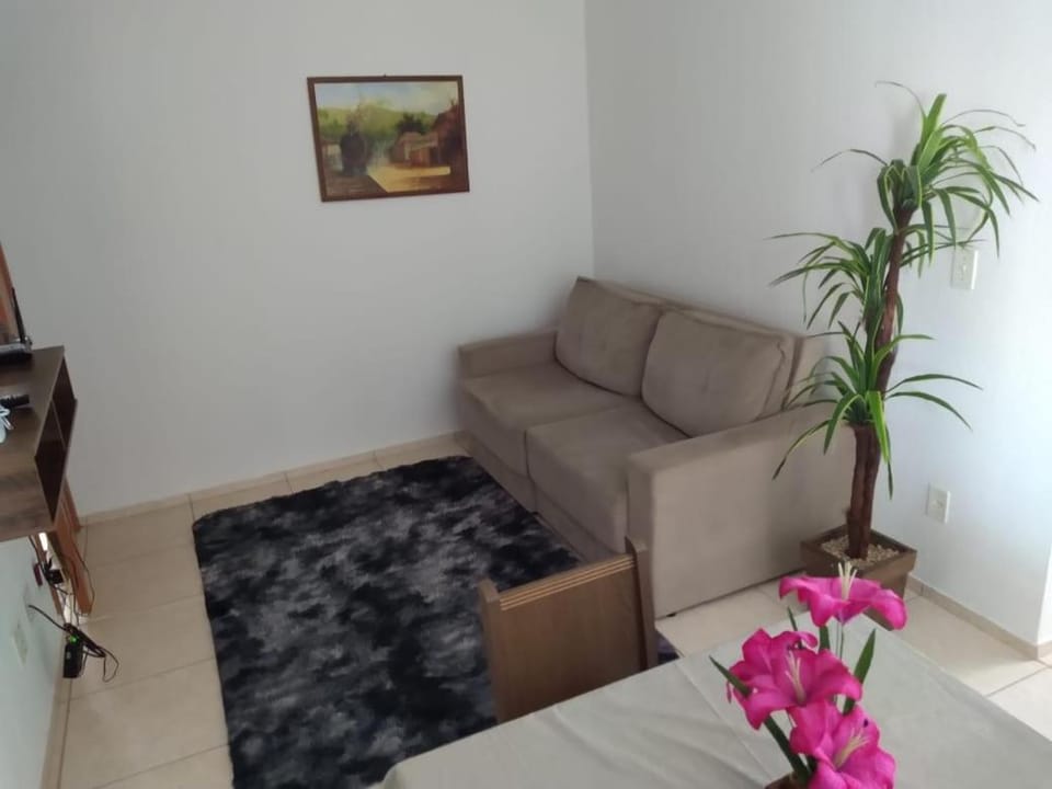 Apto Solar do Coqueiro Apartment in Campos