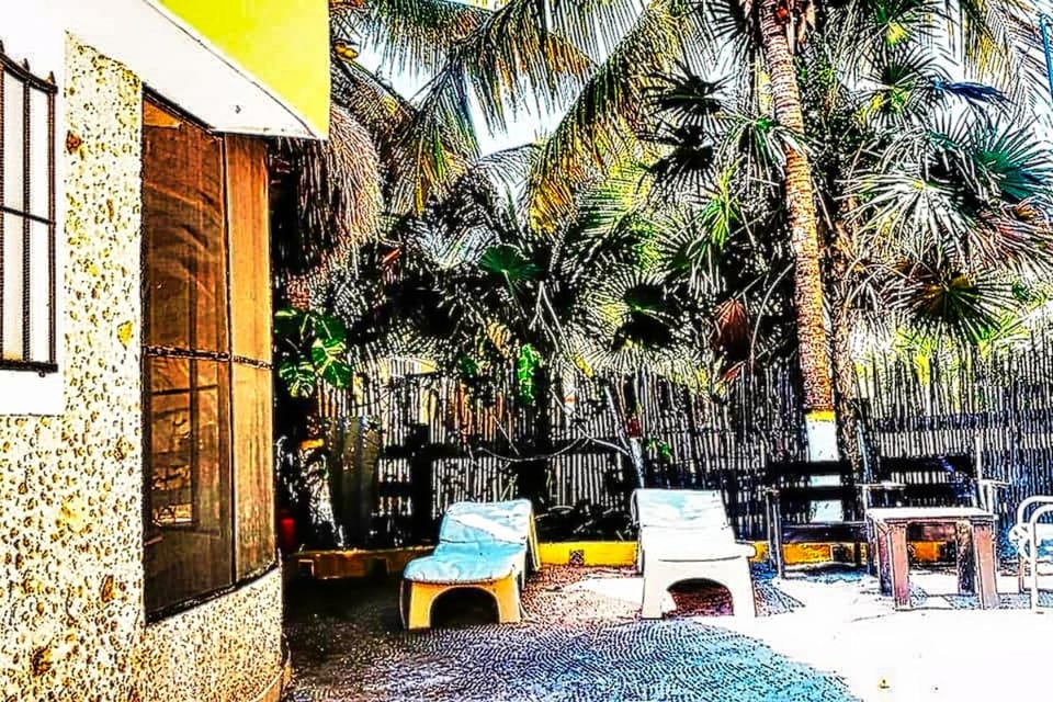 Patio, Day, Garden view, sunbed