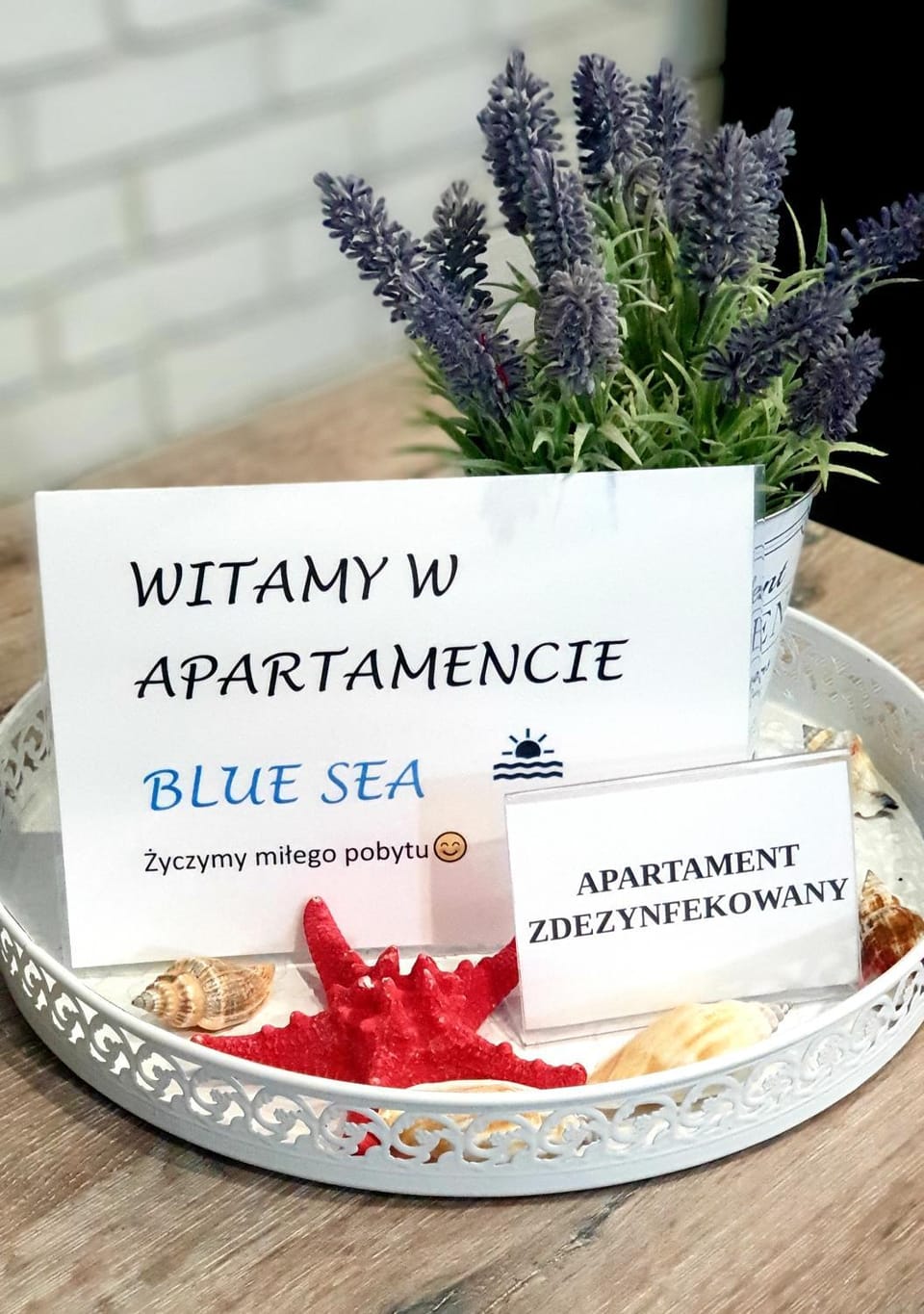 BLUE SEA APARTAMENT Leśne Tarasy Apartment in West Pomeranian Voivodeship, Poland