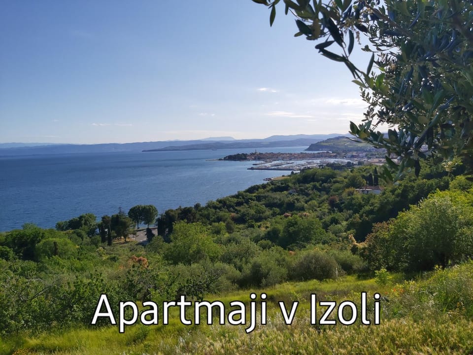 Natural landscape, Fishing, Minigolf, Tennis court, Hiking, Cycling, Diving