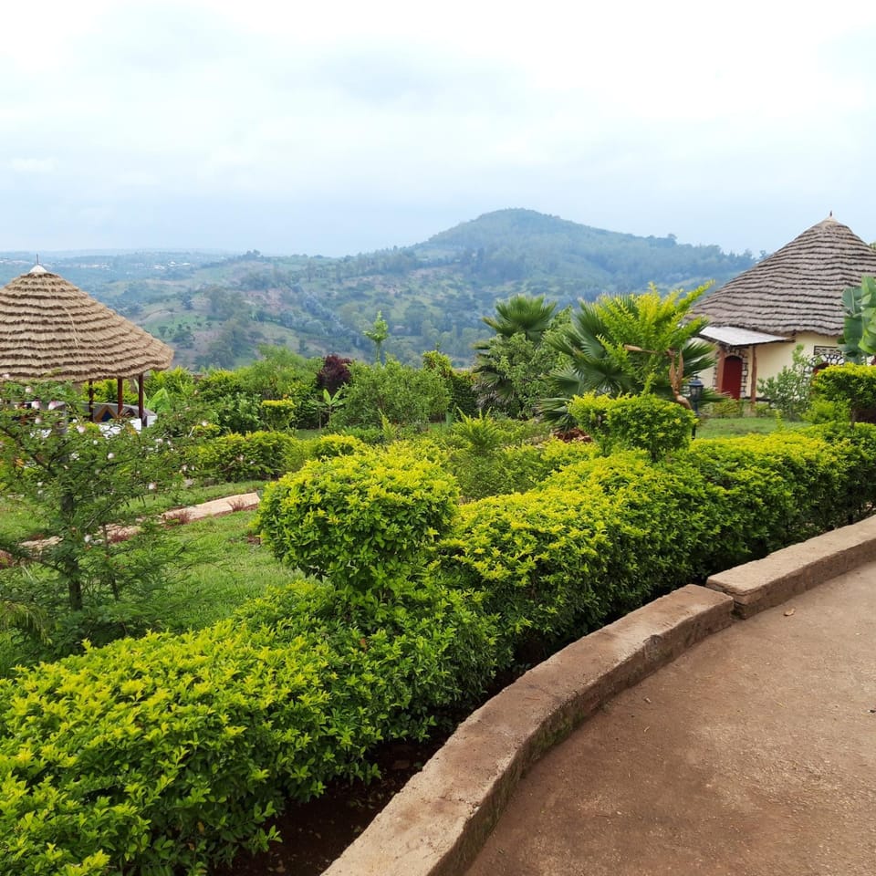Neighbourhood, Natural landscape, Hiking, Mountain view
