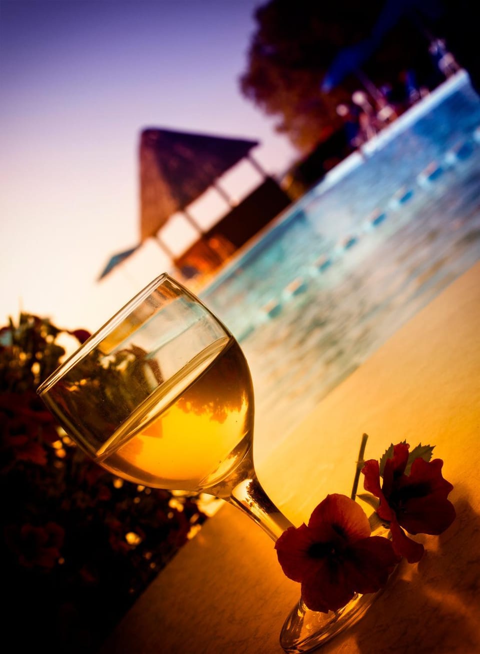 Day, Swimming pool, Alcoholic drinks