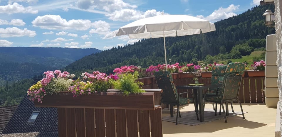 Property building, Balcony/Terrace, Living room