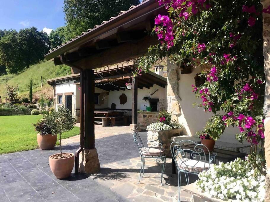 Patio, Spring, Garden, Garden view