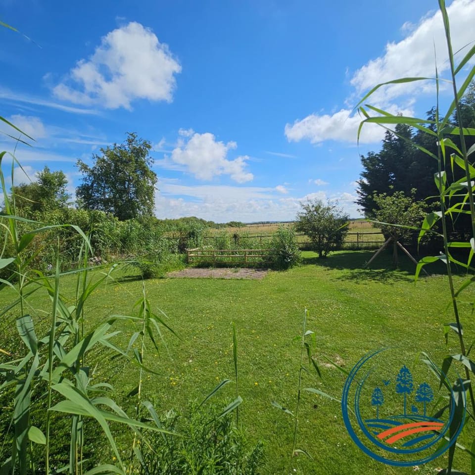 Day, Natural landscape, Garden, Garden view