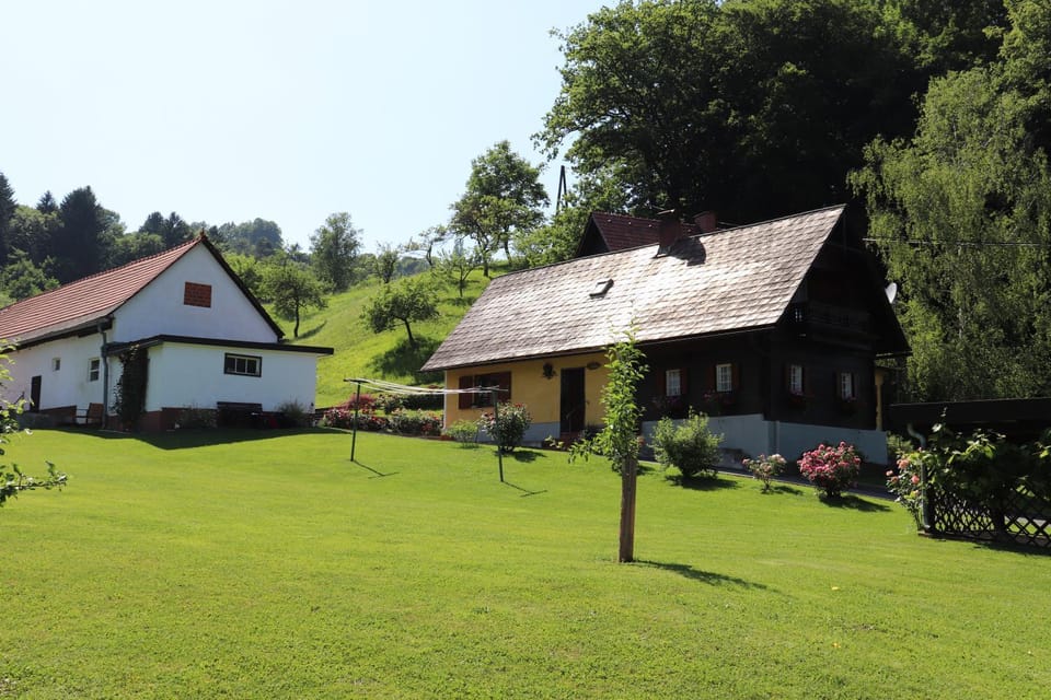 Ferienhaus Aurelia House in Styria