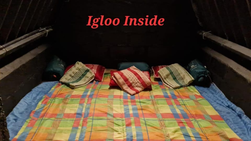 Bed, Photo of the whole room