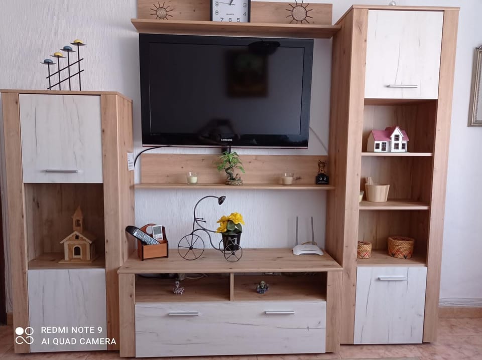 TV and multimedia