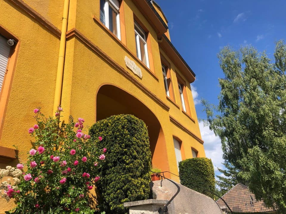 Facade/entrance, Spring, Day