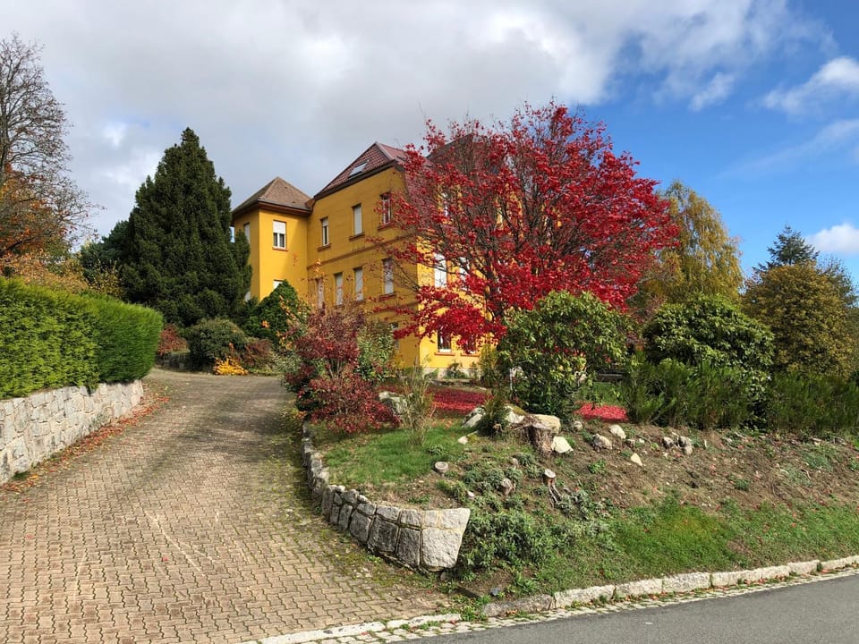 Garden view