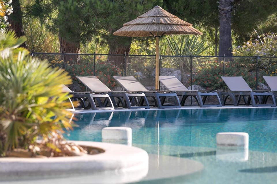 Day, Natural landscape, Garden, Garden view, Pool view, Swimming pool, sunbed