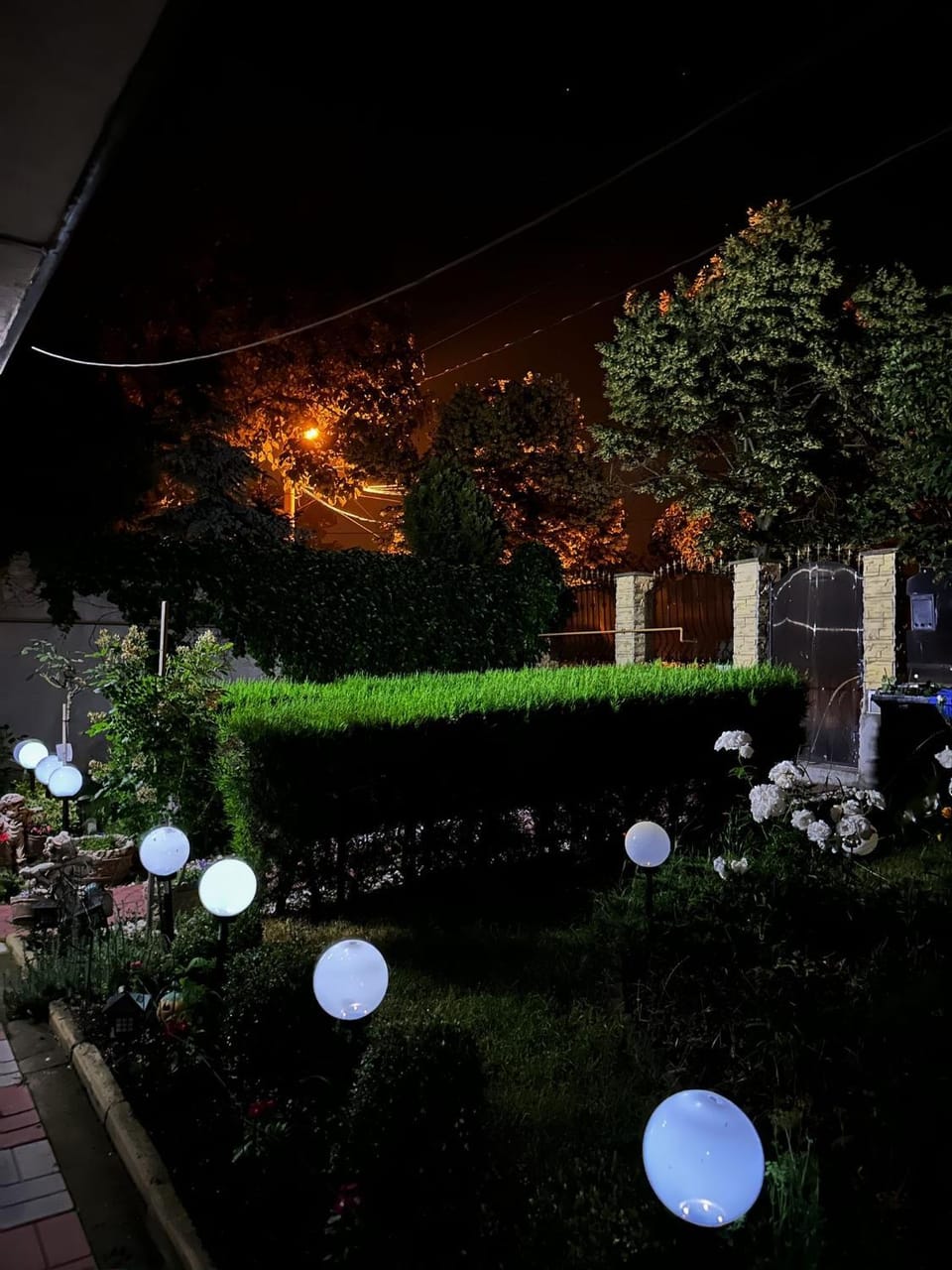 Facade/entrance, Night, Garden view