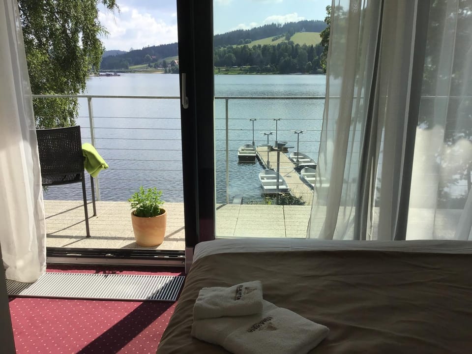 Balcony/Terrace, Lake view