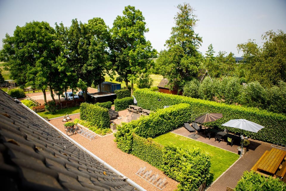 Garden view