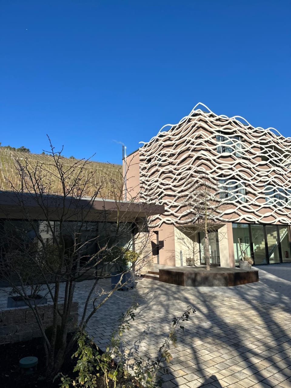 Rebgut Apartment in Tauberbischofsheim