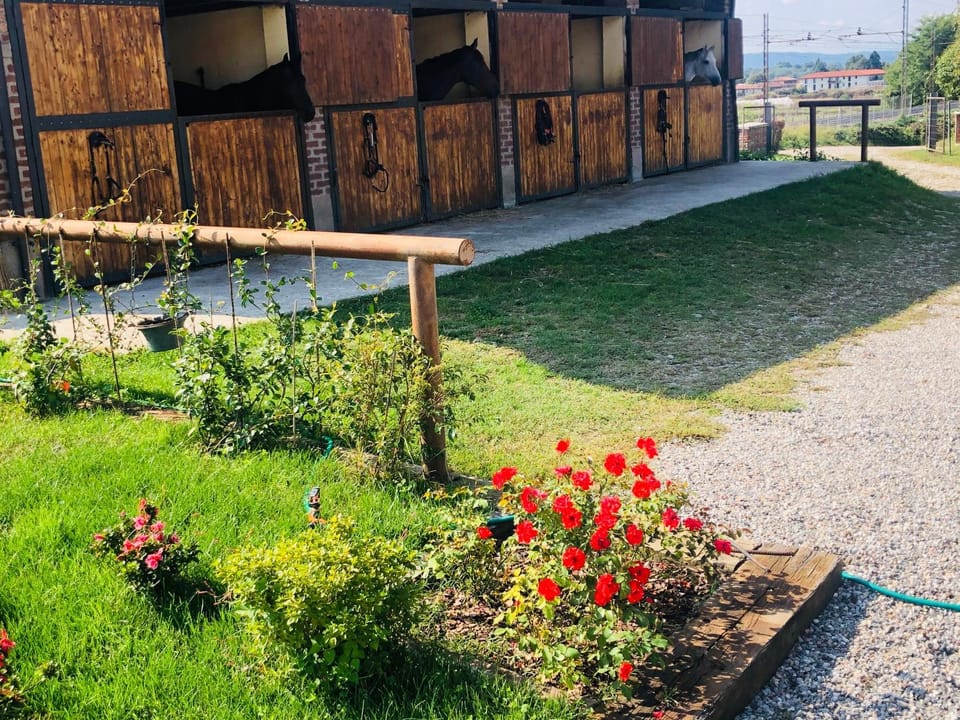 B&B Tenuta Legnate-Lake Maggiore, MXP, Leonardo Accademy Bed and Breakfast in Lombardy