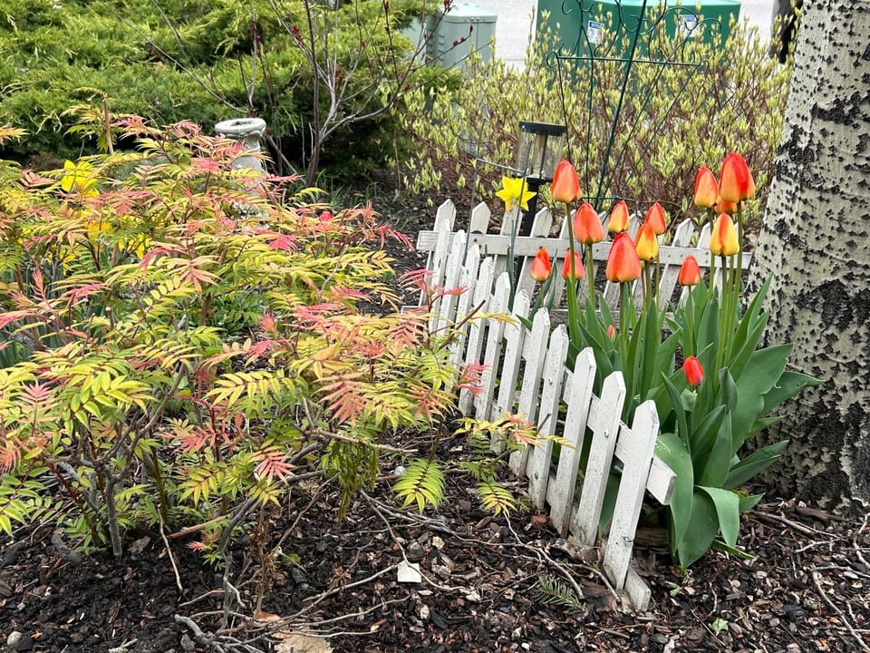 Spring, Garden view
