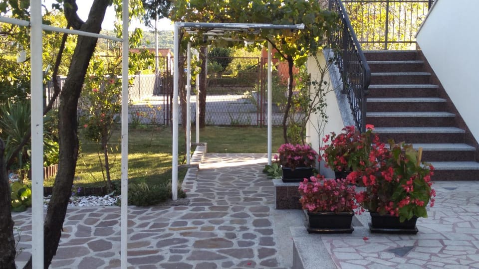 Patio, Area and facilities