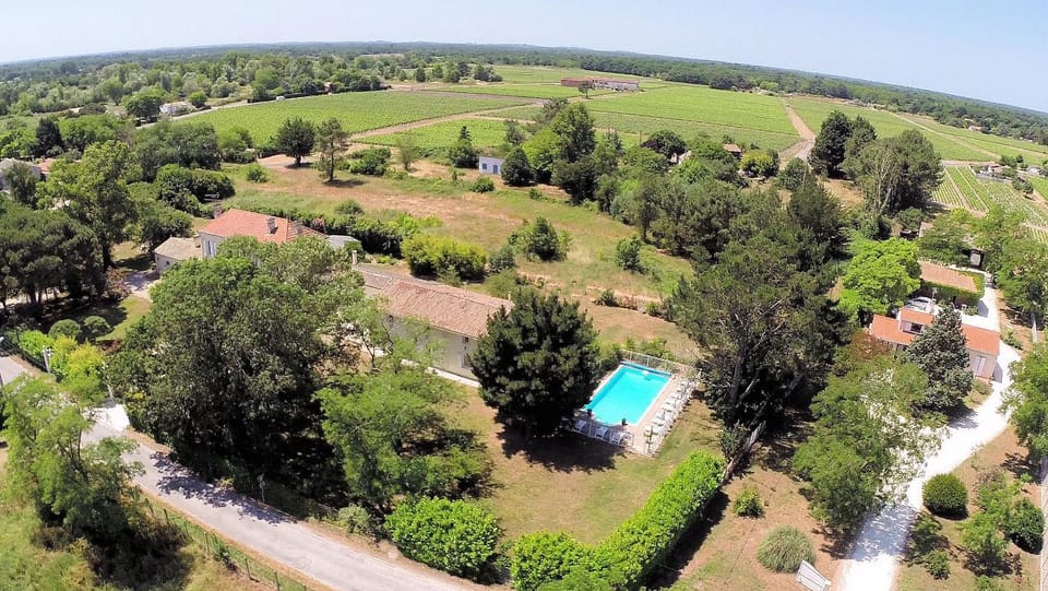 Bird's eye view, Pool view, Swimming pool