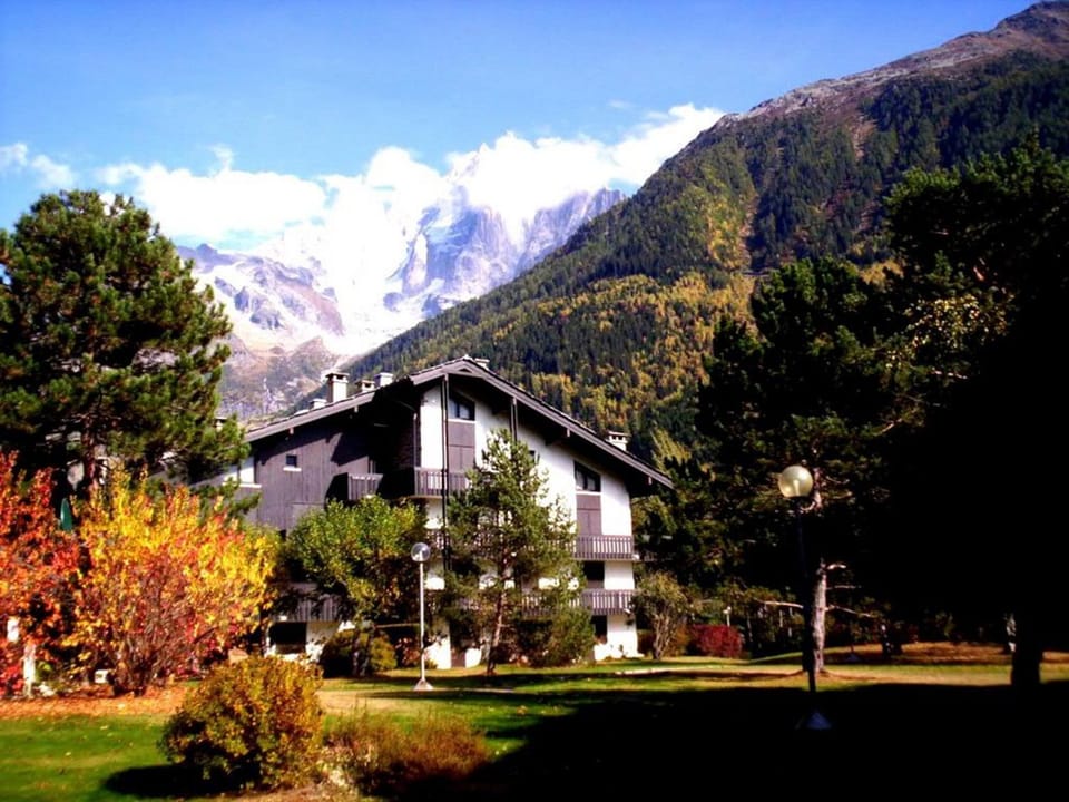 2 Pièces Vue Mont Blanc avec Balcon - Chamonix, Animaux acceptés - FR-1-517-19 Apartment in Chamonix