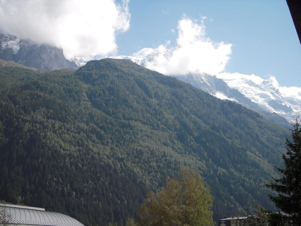 2 Pièces à Chamonix, Vue Mont-Blanc, Animaux admis, Parking - FR-1-517-26 Apartment in Chamonix