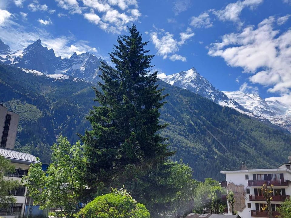 2 Pièces à Chamonix, Vue Mont-Blanc, Animaux admis, Parking - FR-1-517-26 Apartment in Chamonix