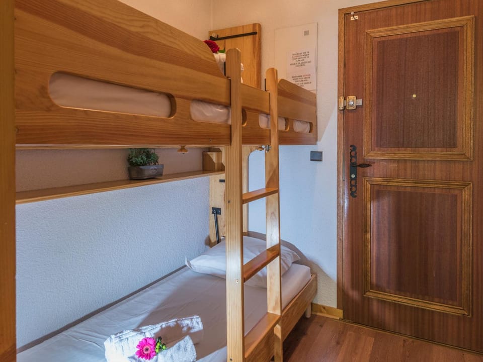 Studio lumineux proche des pistes, animaux admis - FR-1-517-32 Apartment in Chamonix