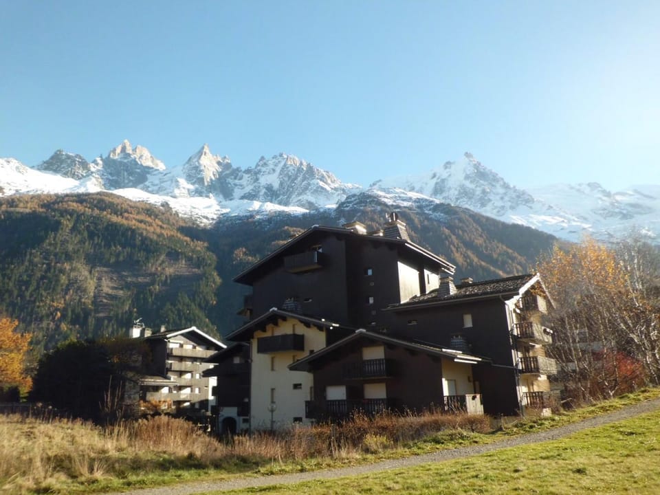 Studio lumineux proche des pistes, animaux admis - FR-1-517-32 Apartment in Chamonix