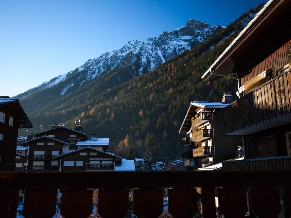 Studio lumineux proche des pistes, animaux admis - FR-1-517-32 Apartment in Chamonix