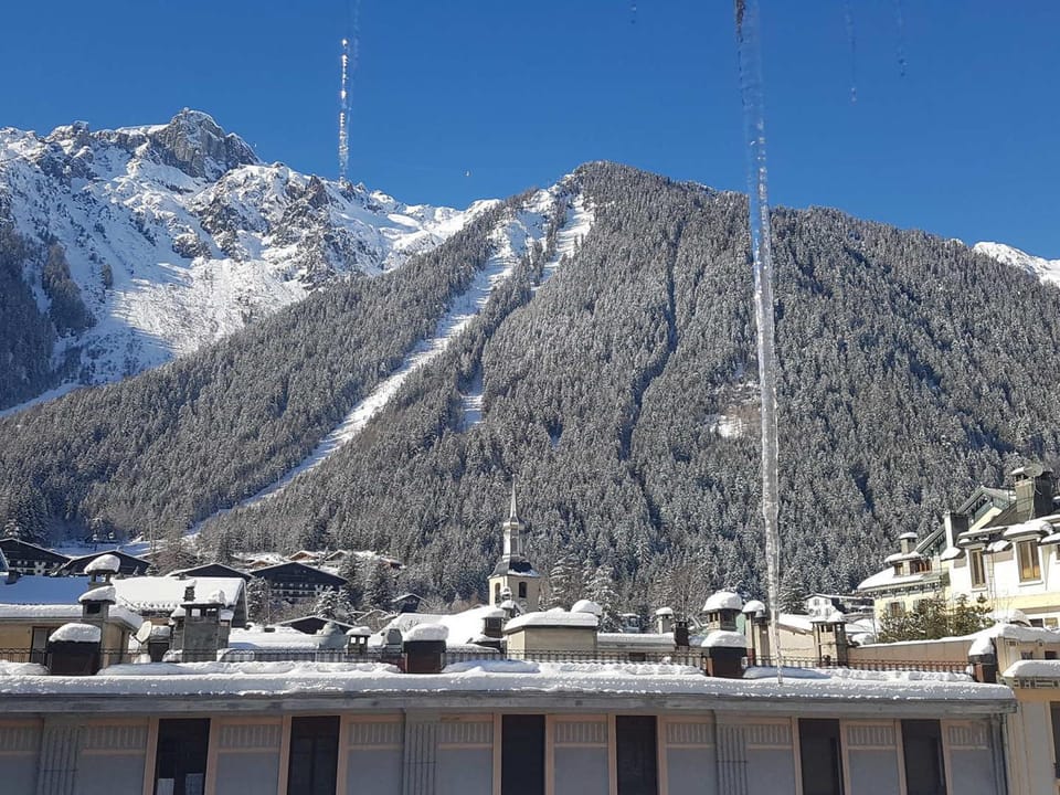 Magnifique appartement centre-ville - Animaux admis, WiFi - FR-1-517-37 Apartment in Chamonix