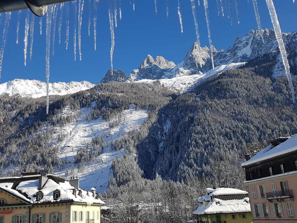 Magnifique appartement centre-ville - Animaux admis, WiFi - FR-1-517-37 Apartment in Chamonix