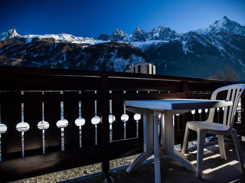 Studio Chamonix 5 pers, balcon, parking, animaux ok - FR-1-517-45 Apartment in Chamonix