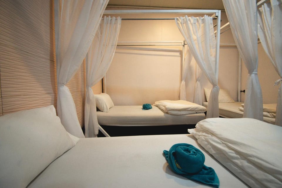 Chillax Khaosok Hostel - SHA Certified Hostel in Khlong Sok