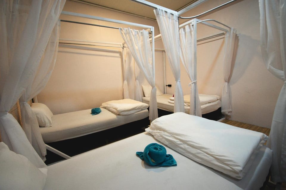 Chillax Khaosok Hostel - SHA Certified Hostel in Khlong Sok