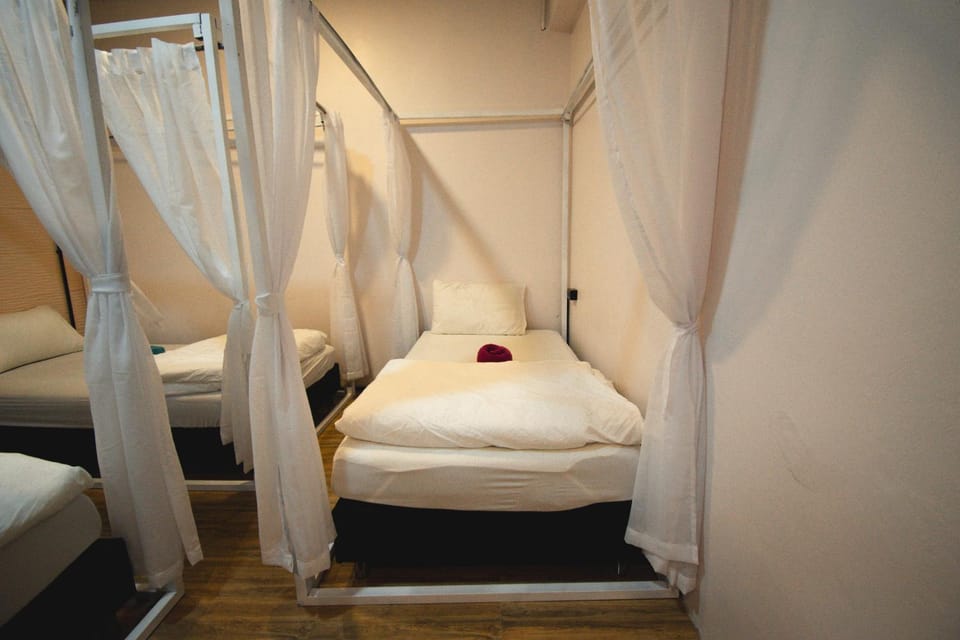 Chillax Khaosok Hostel - SHA Certified Hostel in Khlong Sok