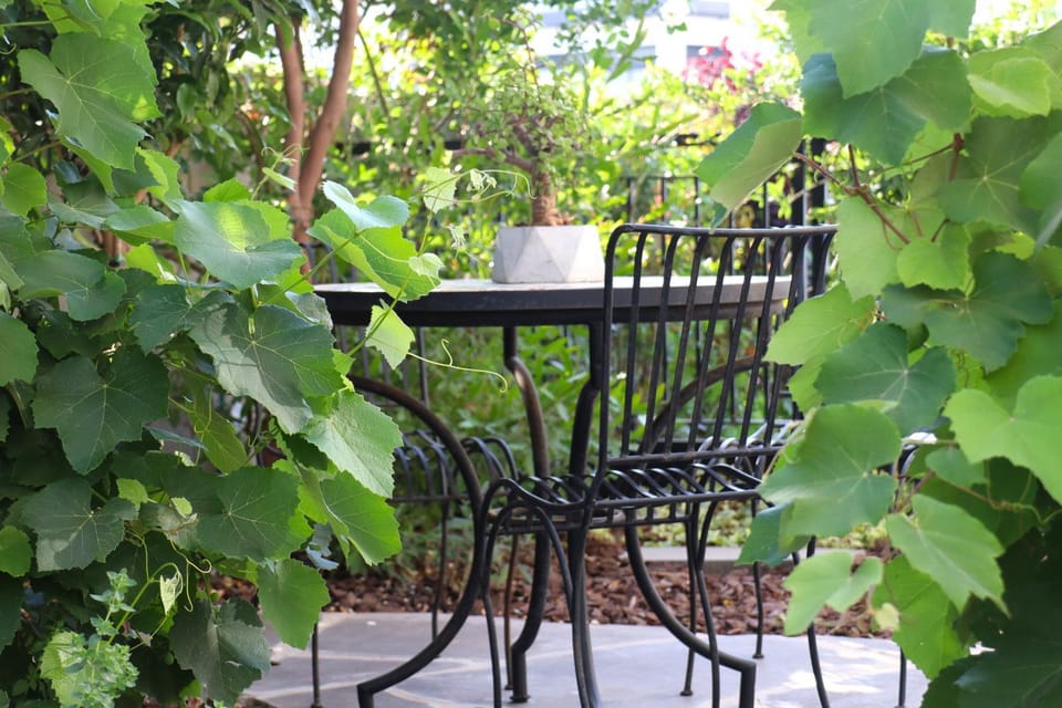 Off site, Garden, Garden, Garden view, Garden view