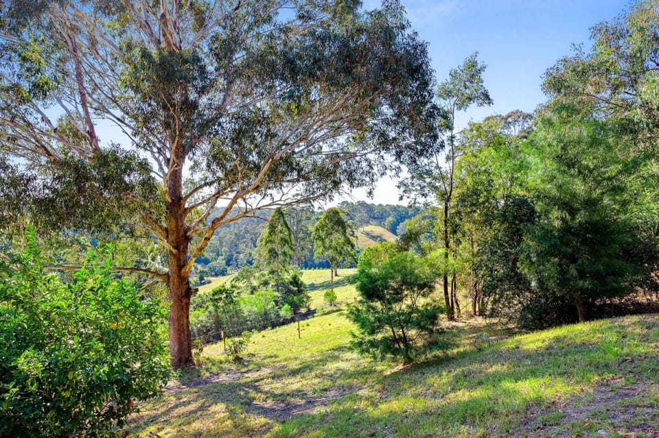 Braeside Cabin Three Parsonsia Cabin in Central Tilba