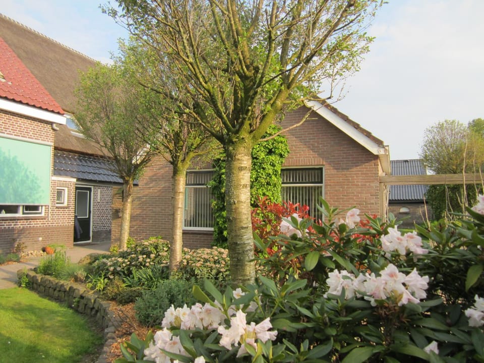 B&B Kleintje Eleveld Bed and Breakfast in Drenthe (province)