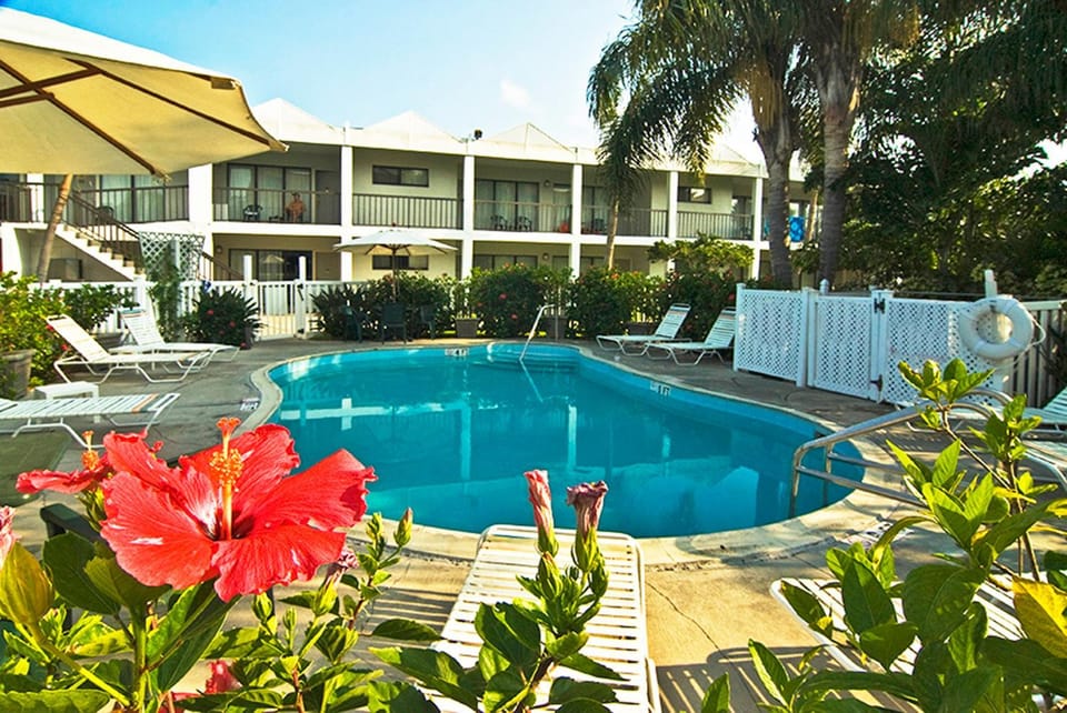 Facade/entrance, Swimming pool, Swimming pool