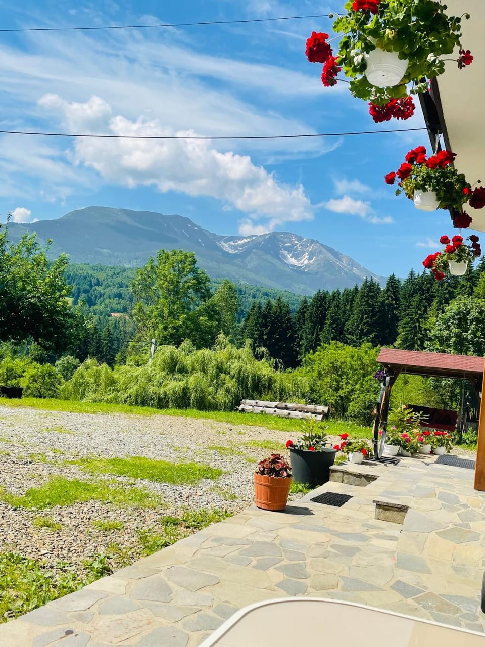 Pensiunea Pietrosul Bed and Breakfast in Romania